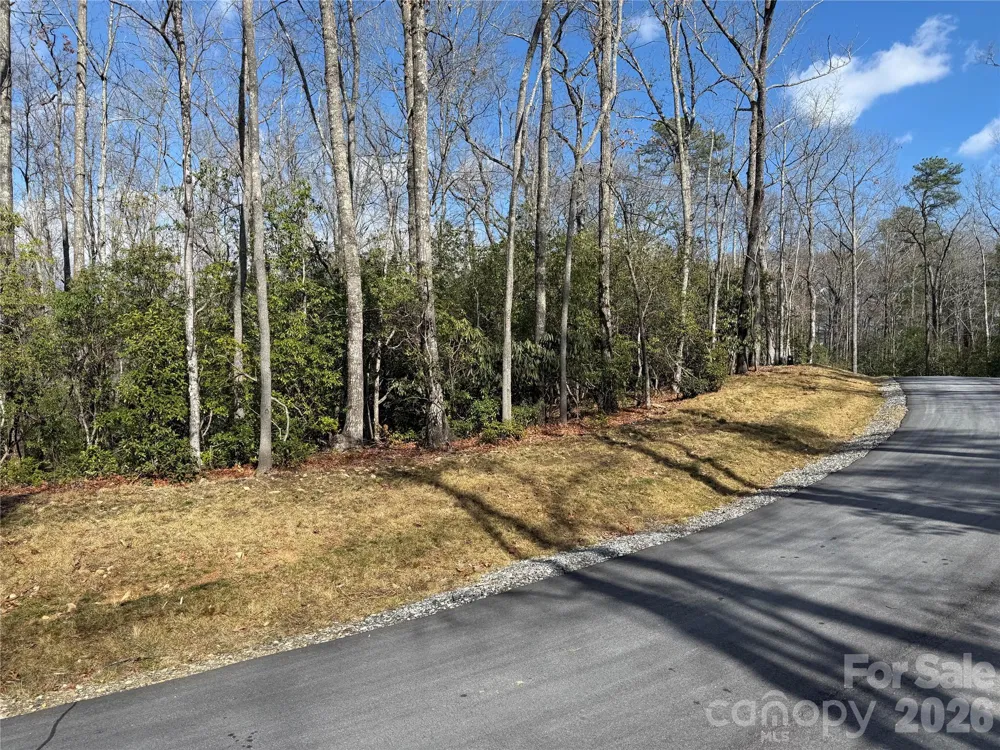 Tract 1 Turtle Ridge Trail Mills River, NC 28759