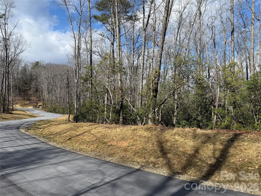 Tract 1 Turtle Ridge Trail Mills River, NC 28759