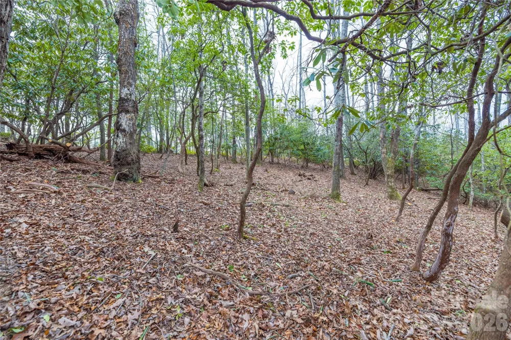 Tract 1 Turtle Ridge Trail Mills River, NC 28759