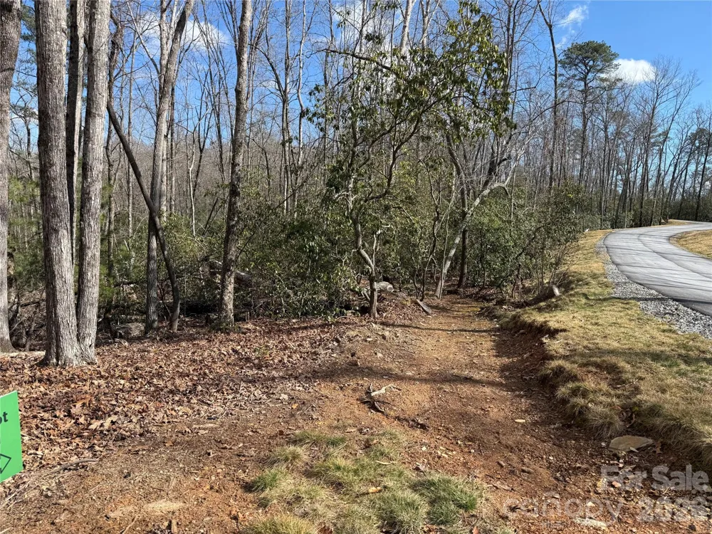 Tract 1 Turtle Ridge Trail Mills River, NC 28759