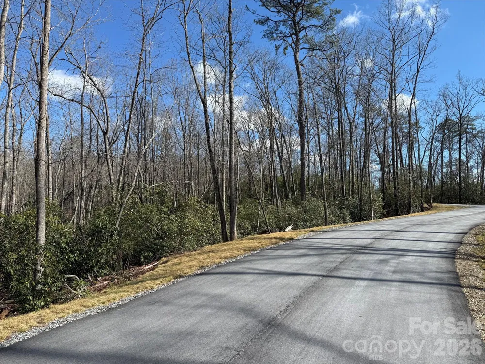 Tract 1 Turtle Ridge Trail Mills River, NC 28759