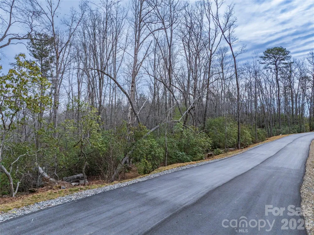 Tract 1 Turtle Ridge Trail Mills River, NC 28759