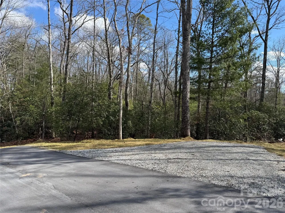 Tract 3 Turtle Ridge Trail Mills River, NC 28759