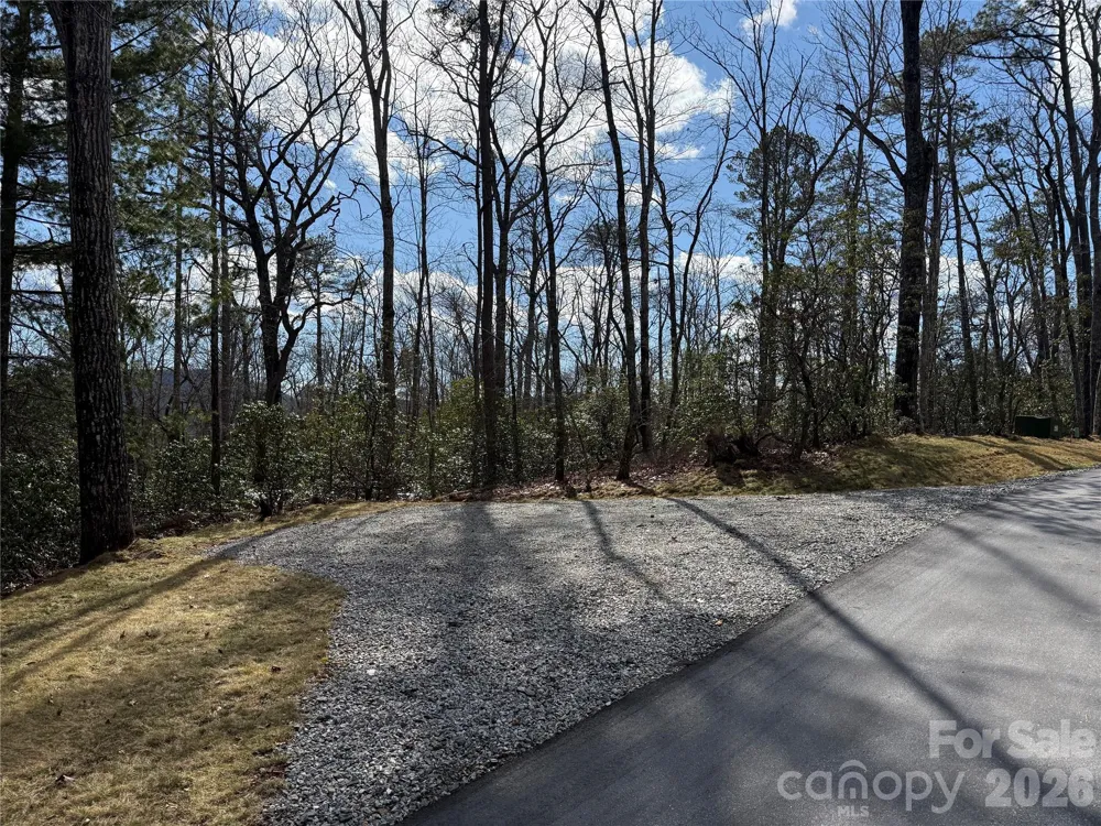 Tract 3 Turtle Ridge Trail Mills River, NC 28759