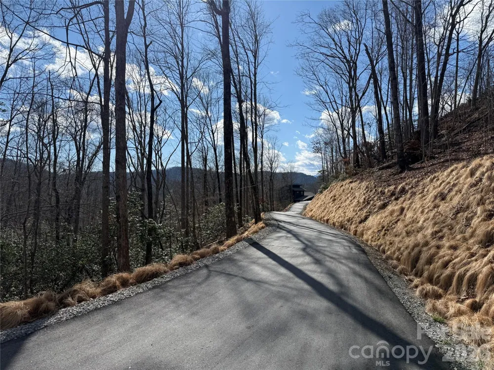 Tract 3 Turtle Ridge Trail Mills River, NC 28759