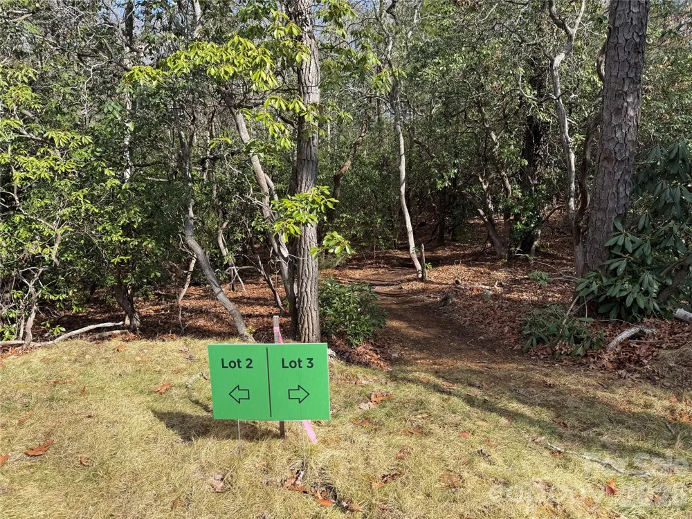 Tract 3 Turtle Ridge Trail Mills River, NC 28759