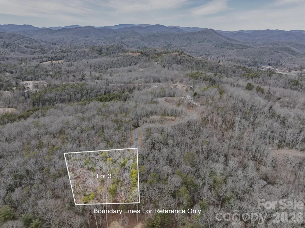 Tract 3 Turtle Ridge Trail Mills River, NC 28759