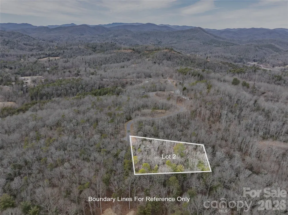Tract 2 Turtle Ridge Trail Mills River, NC 28759