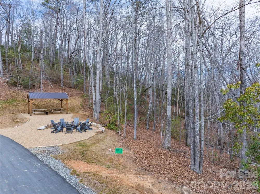 Tract 2 Turtle Ridge Trail Mills River, NC 28759