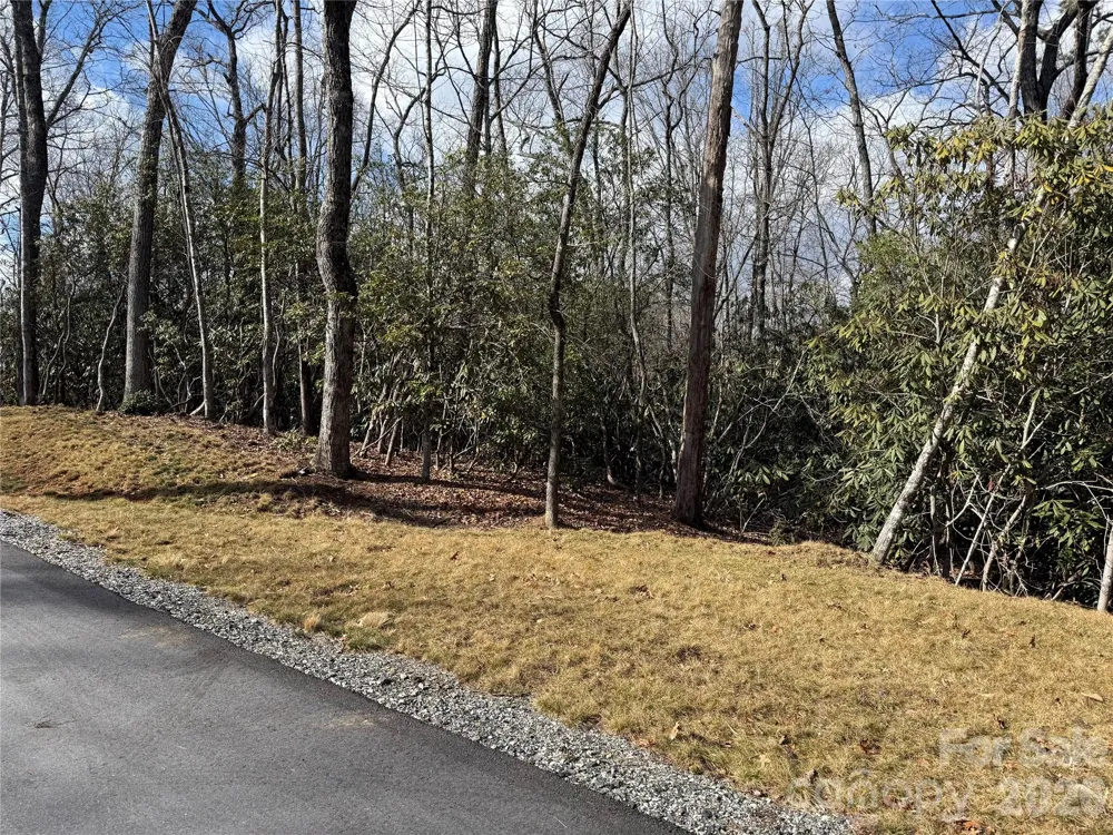 Tract 2 Turtle Ridge Trail Mills River, NC 28759