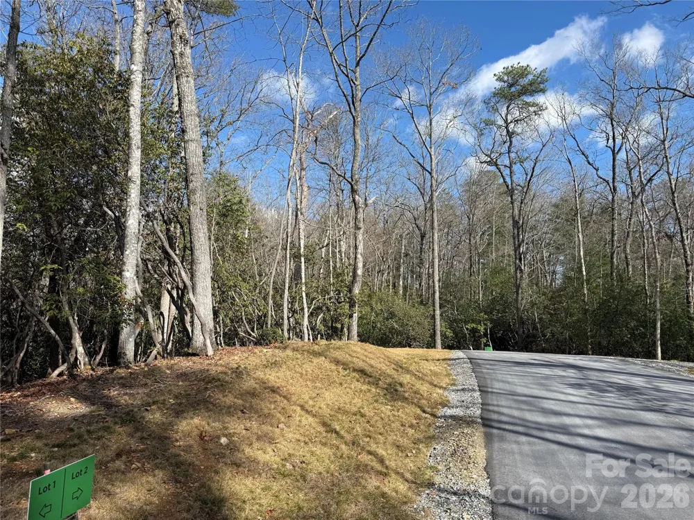 Tract 2 Turtle Ridge Trail Mills River, NC 28759