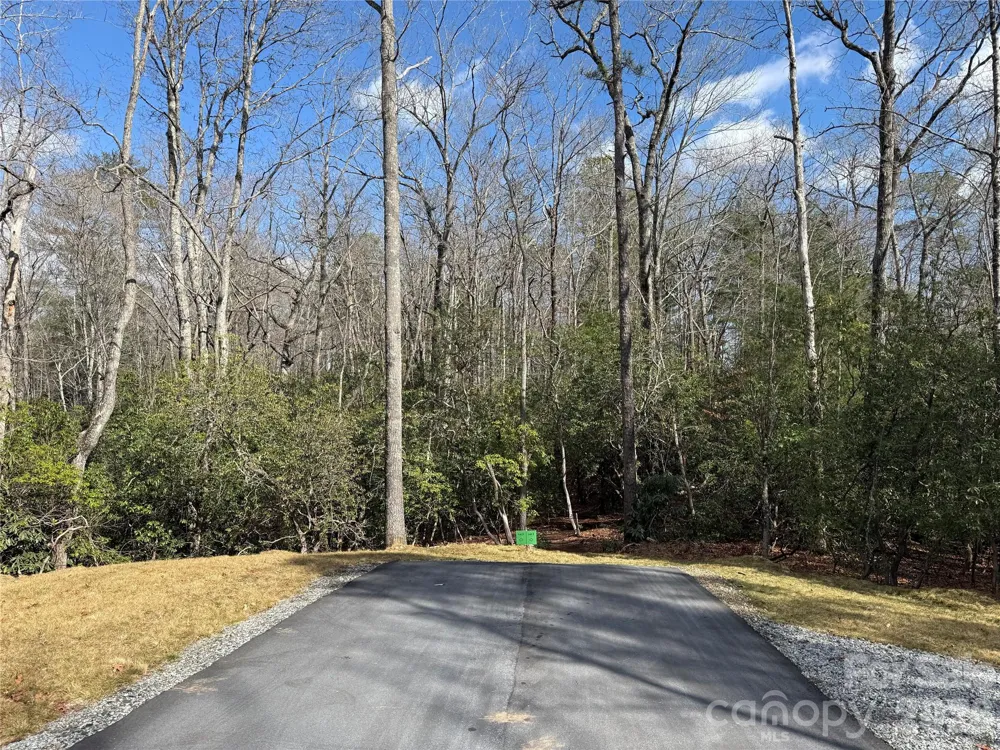 Tract 2 Turtle Ridge Trail Mills River, NC 28759