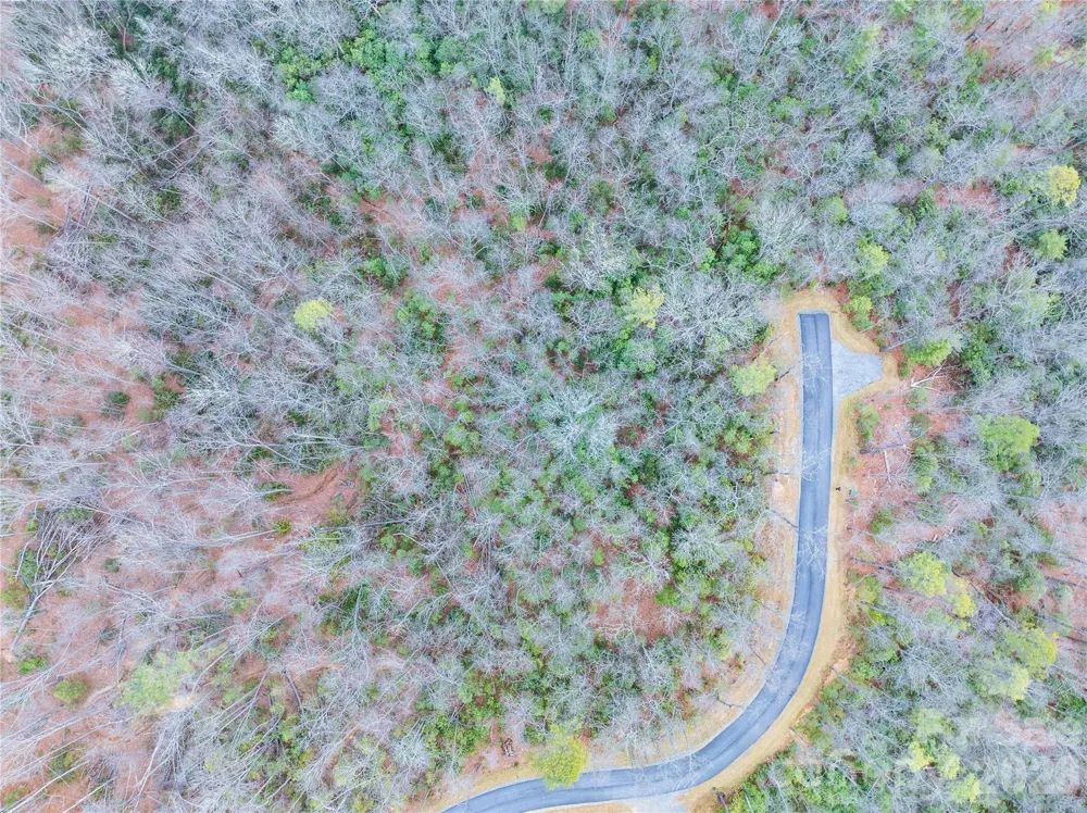 Tract 2 Turtle Ridge Trail Mills River, NC 28759