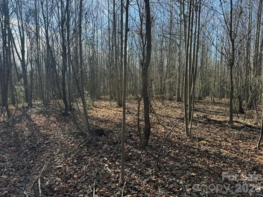 TBD Rock Creek Church Road North Wilkesboro, NC 28659