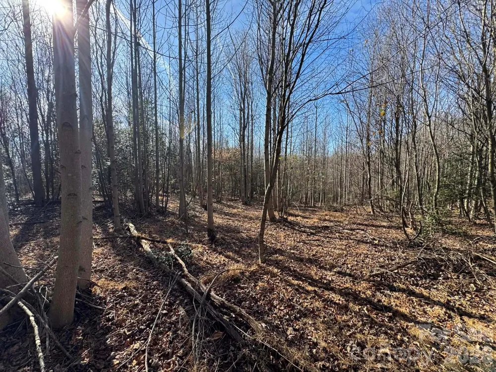 TBD Rock Creek Church Road North Wilkesboro, NC 28659
