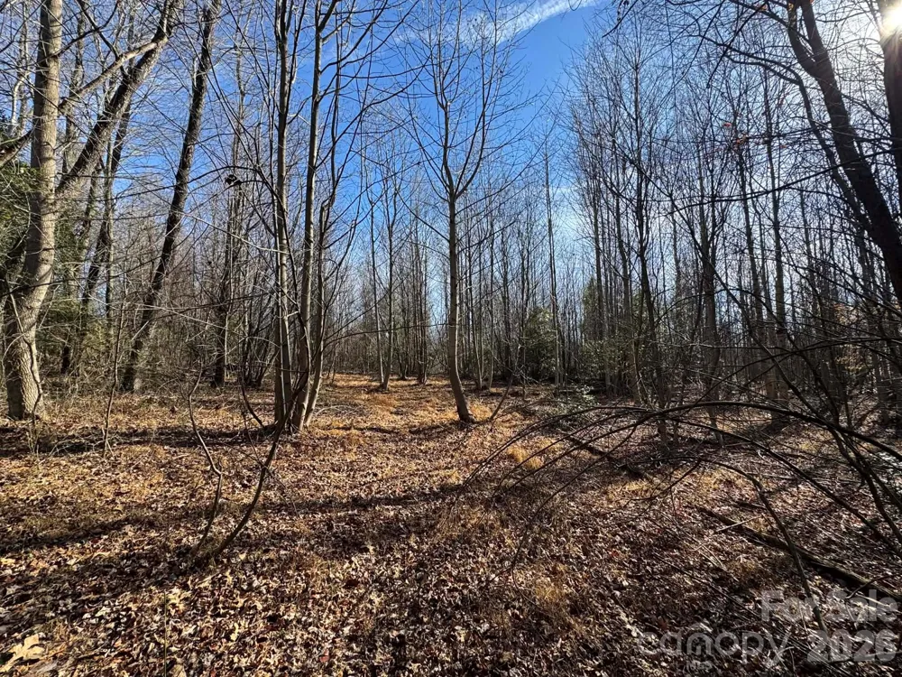 TBD Rock Creek Church Road North Wilkesboro, NC 28659