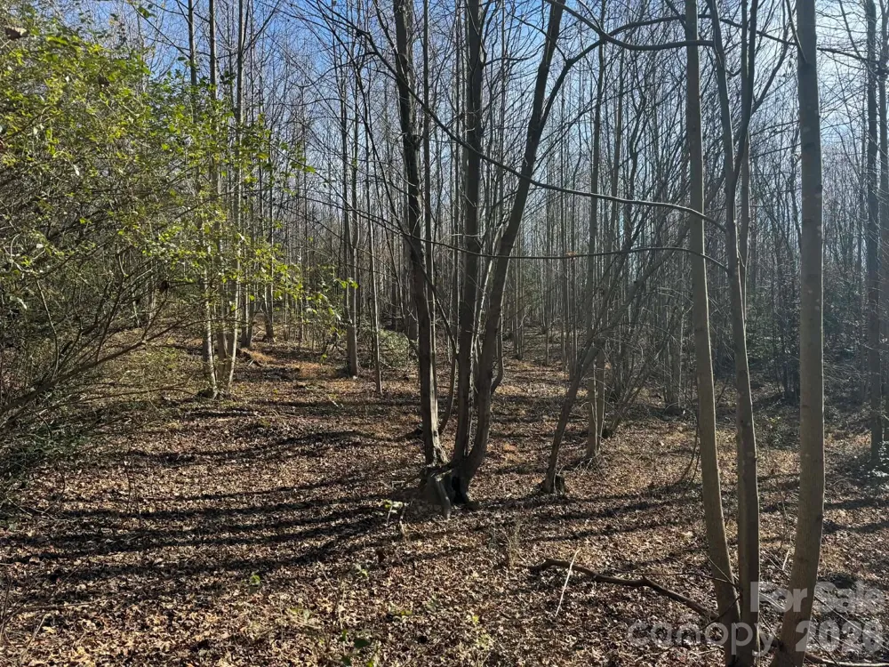 TBD Rock Creek Church Road North Wilkesboro, NC 28659