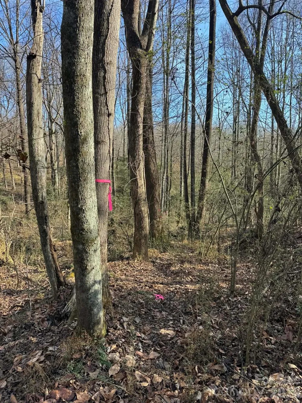 TBD Rock Creek Church Road North Wilkesboro, NC 28659
