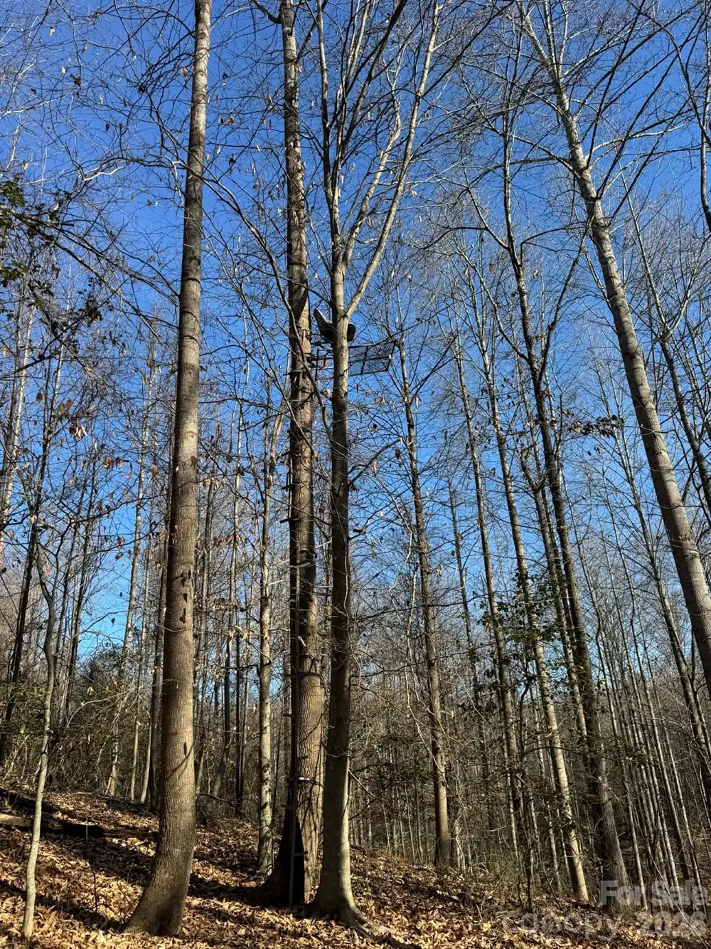 TBD Rock Creek Church Road North Wilkesboro, NC 28659