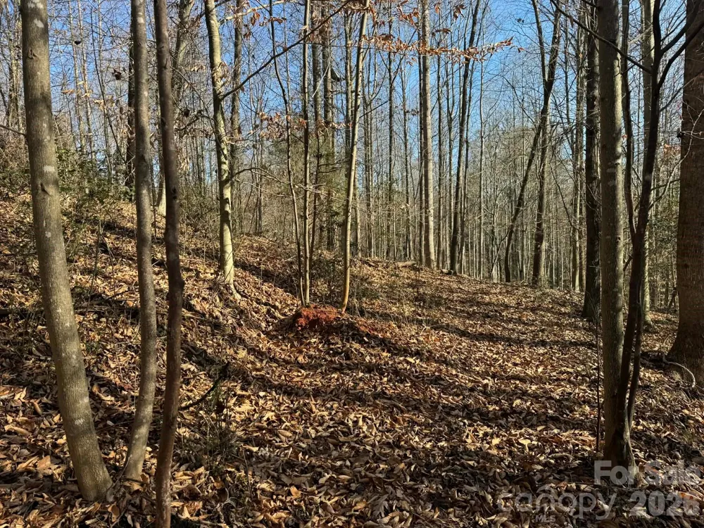 TBD Rock Creek Church Road North Wilkesboro, NC 28659
