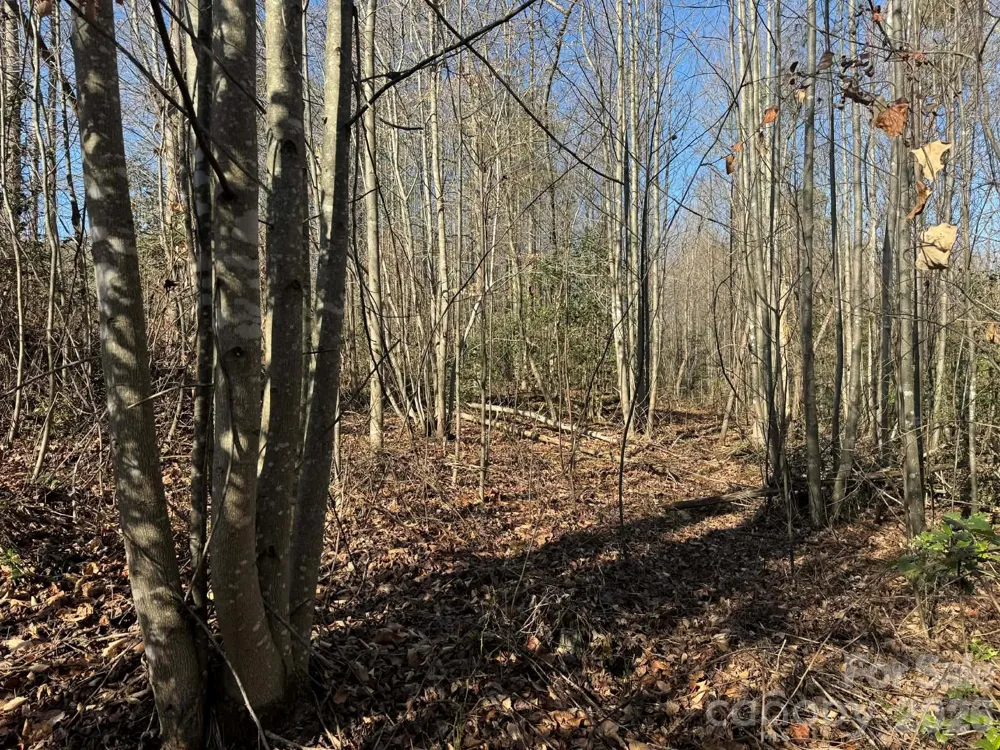 TBD Rock Creek Church Road North Wilkesboro, NC 28659