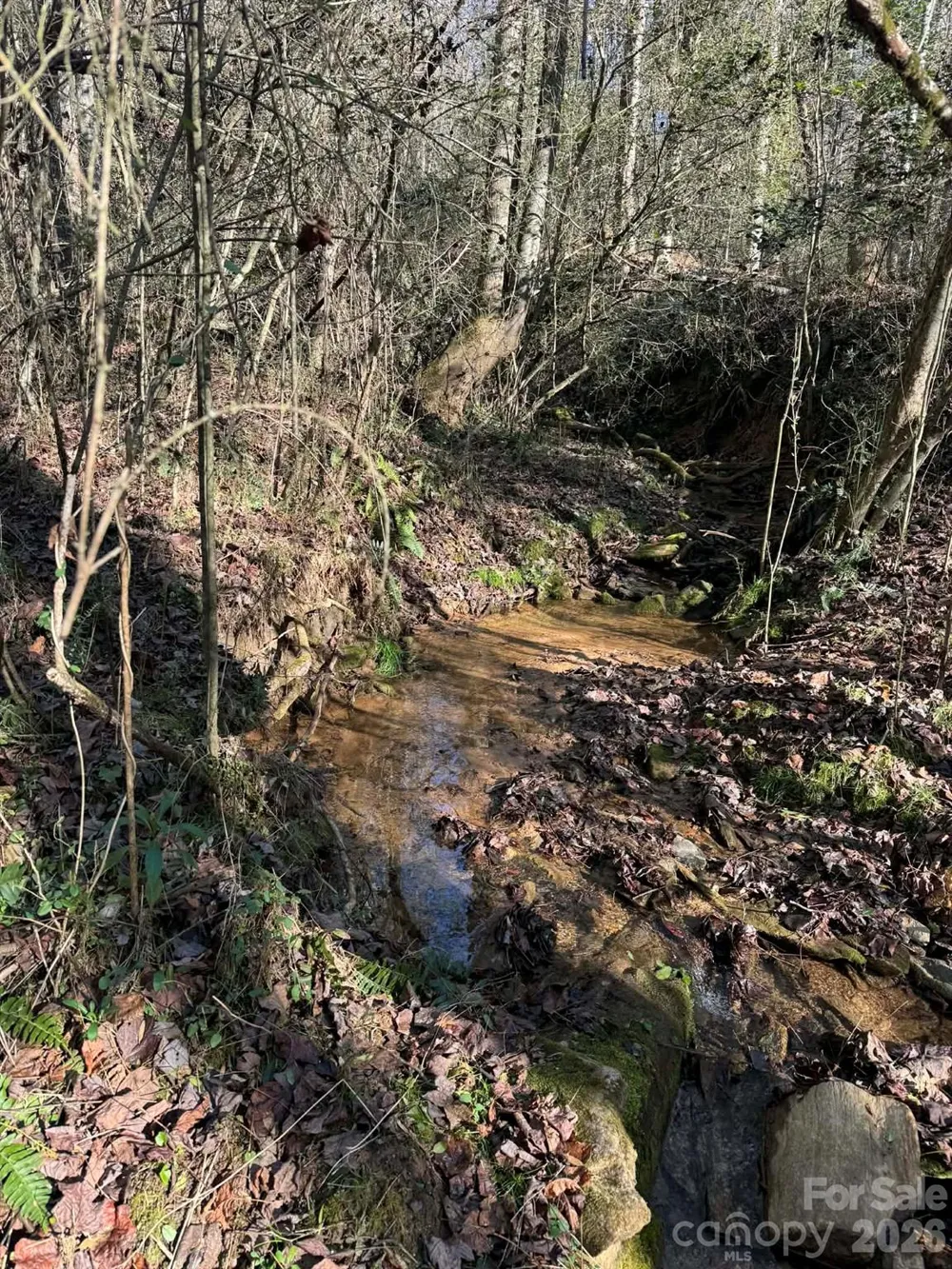 TBD Rock Creek Church Road North Wilkesboro, NC 28659