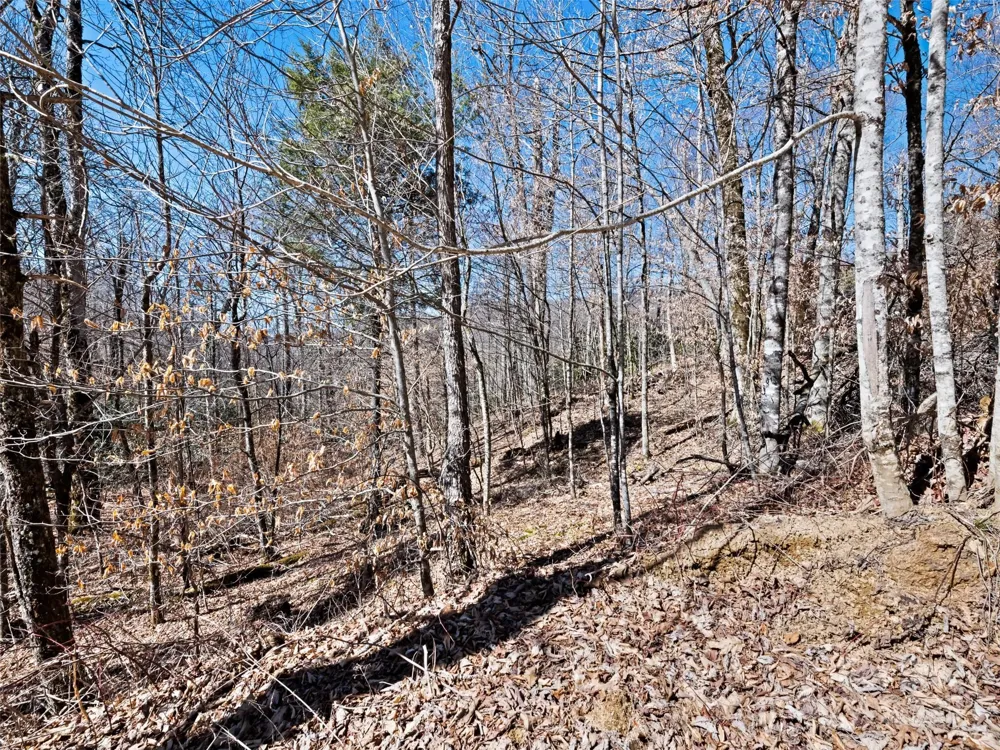 Lots 5,6,7 Spruce Flats Road Maggie Valley, NC 28751