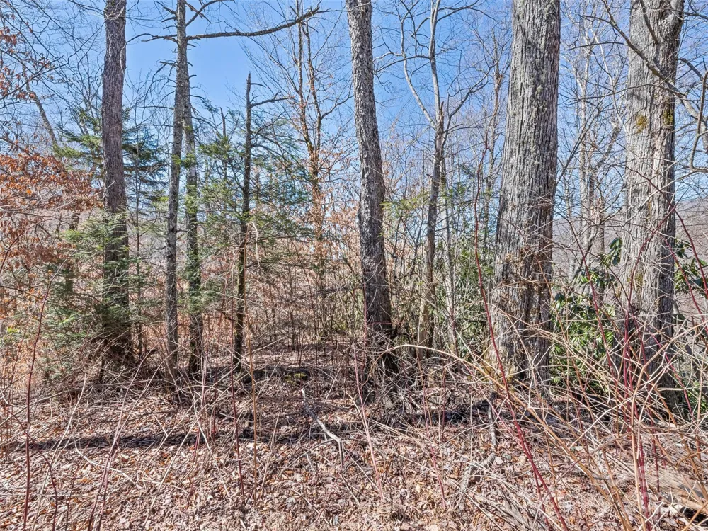 Lots 5,6,7 Spruce Flats Road Maggie Valley, NC 28751