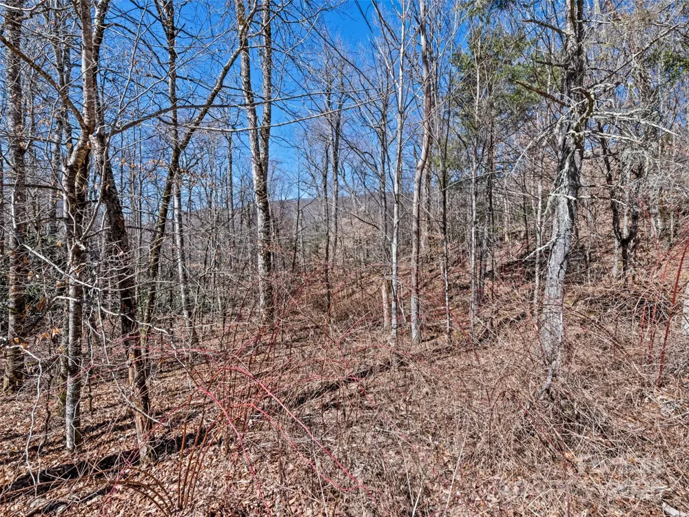 Lot 6 Spruce Flats Road Maggie Valley, NC 28751