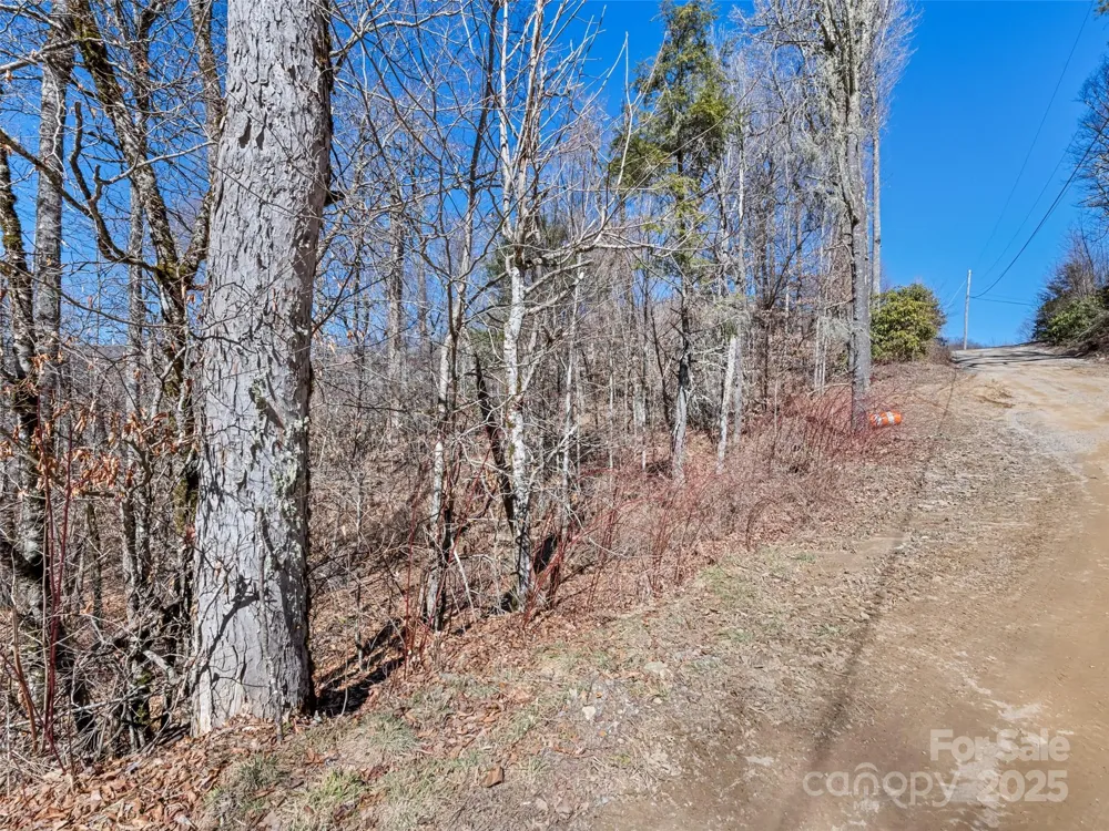 Lot 6 Spruce Flats Road Maggie Valley, NC 28751