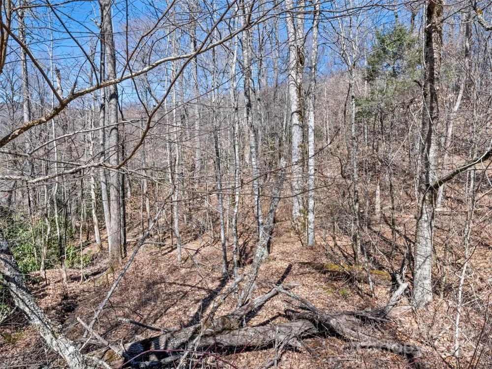 Lot 6 Spruce Flats Road Maggie Valley, NC 28751