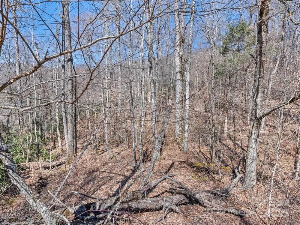 Lot 7 Spruce Flats Road Maggie Valley, NC 28751