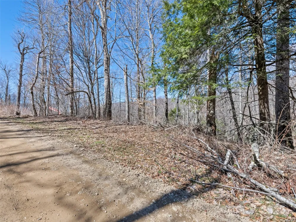 Lot 7 Spruce Flats Road Maggie Valley, NC 28751