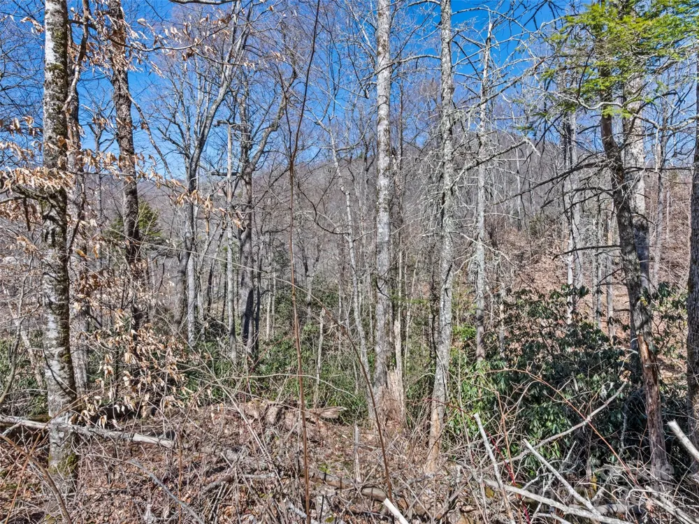 Lot 7 Spruce Flats Road Maggie Valley, NC 28751