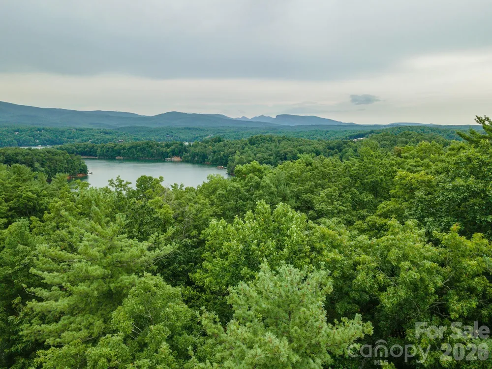 TBD Dockside Drive #13A Nebo, NC 28761