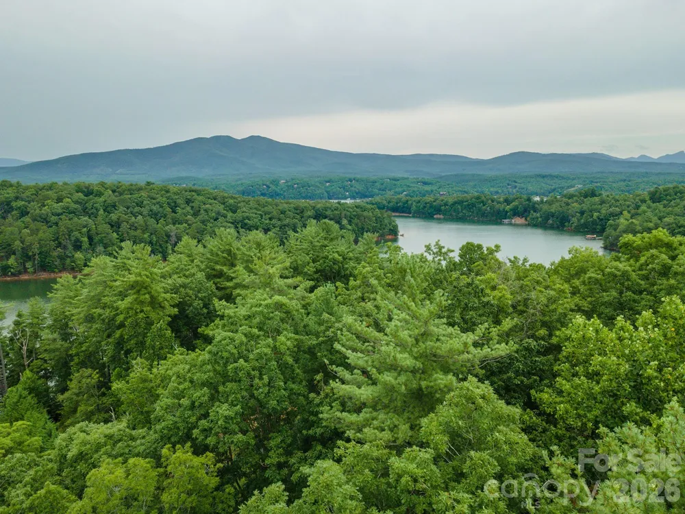 TBD Dockside Drive #13A Nebo, NC 28761