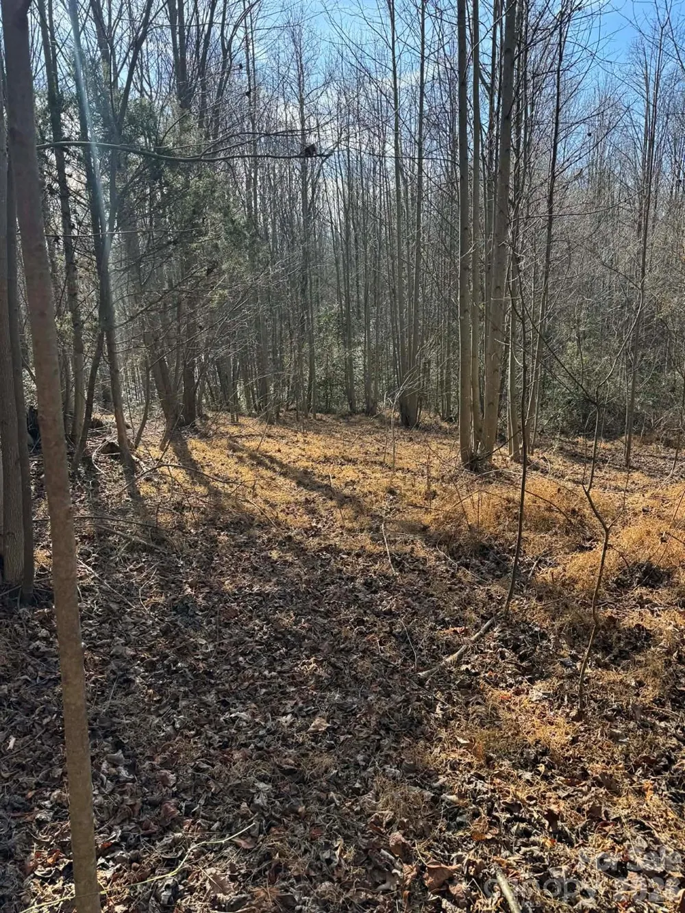 001 Rock Creek Church Road North Wilkesboro, NC 28659