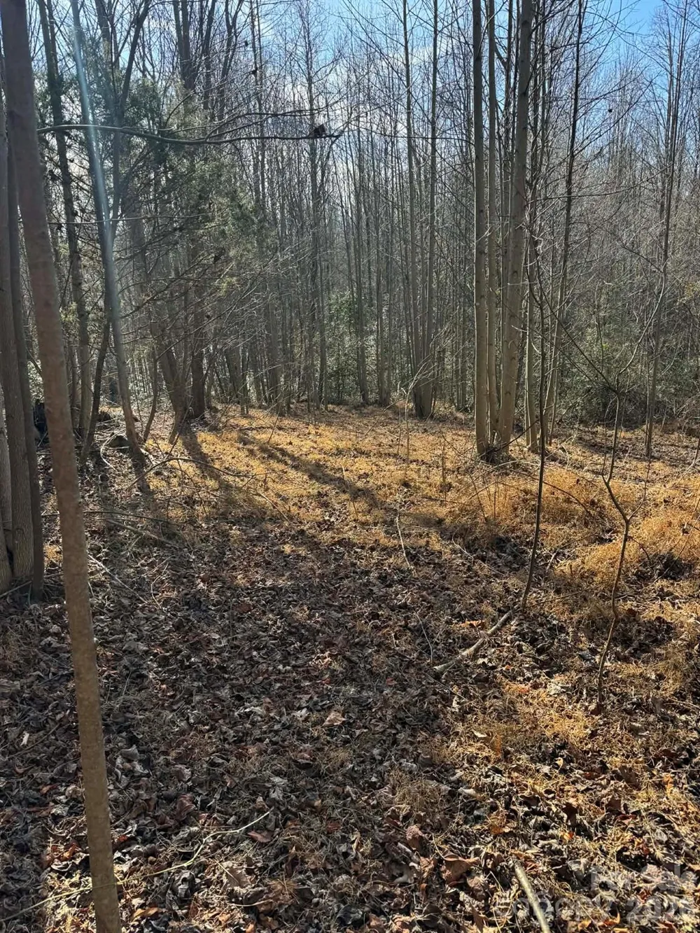 001 Rock Creek Church Road North Wilkesboro, NC 28659