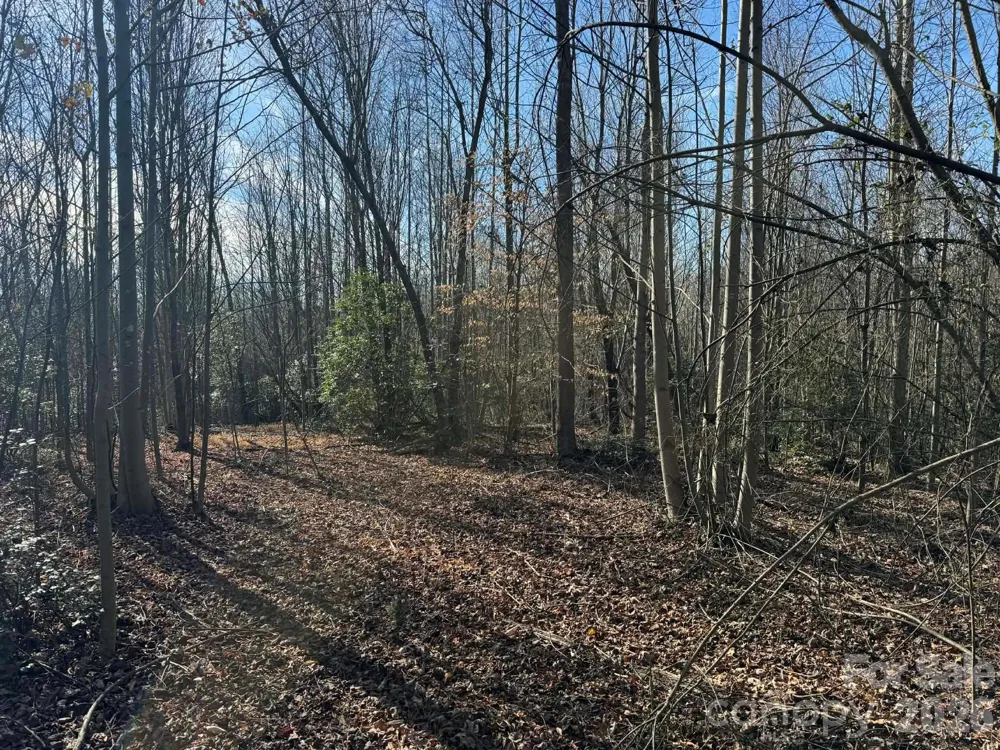 001 Rock Creek Church Road North Wilkesboro, NC 28659