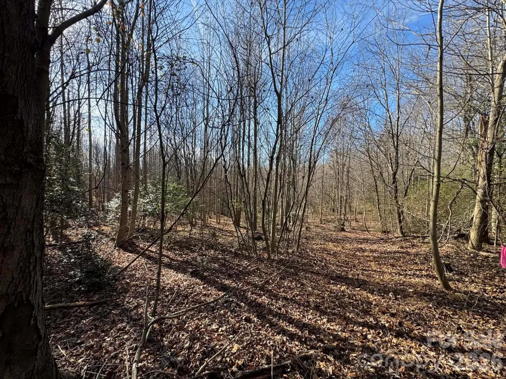 001 Rock Creek Church Road North Wilkesboro, NC 28659