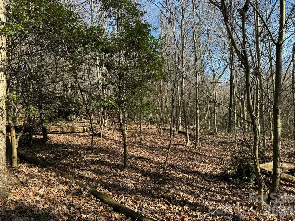 001 Rock Creek Church Road North Wilkesboro, NC 28659