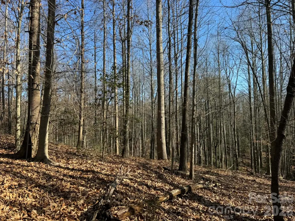 001 Rock Creek Church Road North Wilkesboro, NC 28659