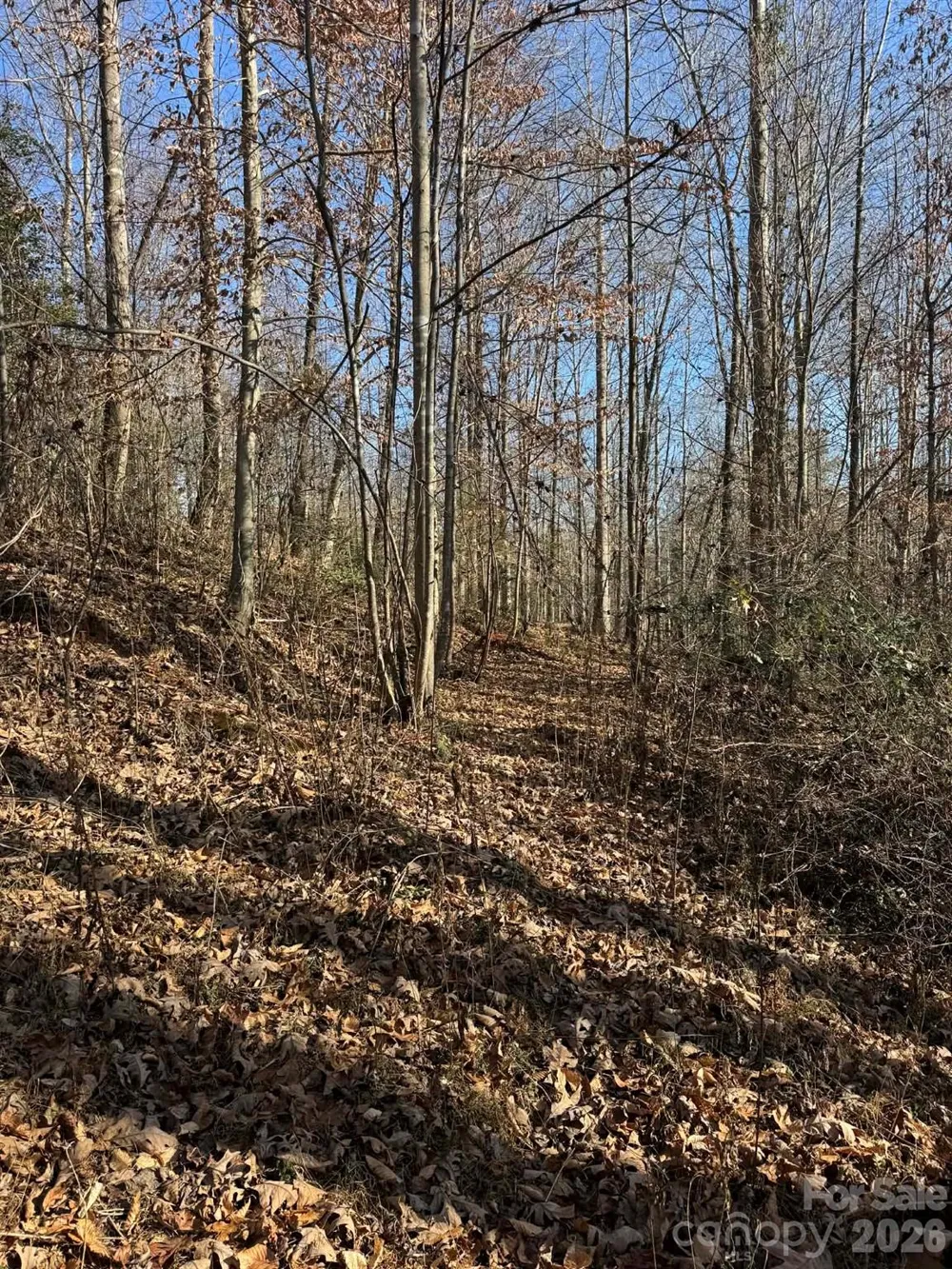 001 Rock Creek Church Road North Wilkesboro, NC 28659