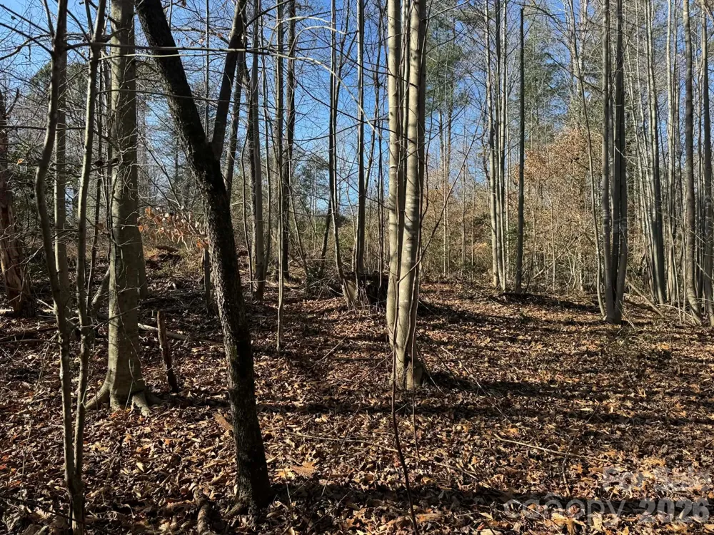 001 Rock Creek Church Road North Wilkesboro, NC 28659