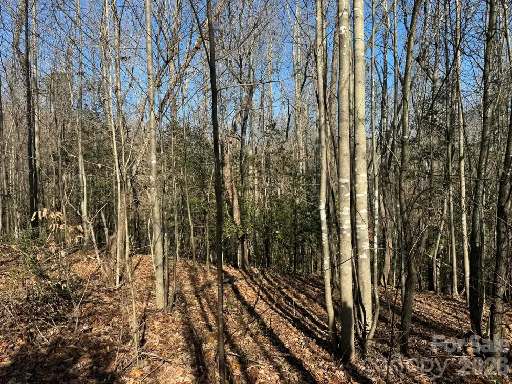 001 Rock Creek Church Road North Wilkesboro, NC 28659