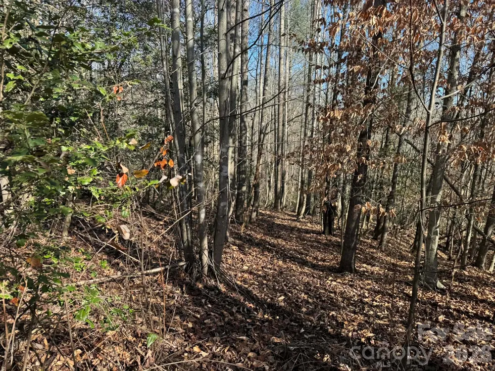 001 Rock Creek Church Road North Wilkesboro, NC 28659