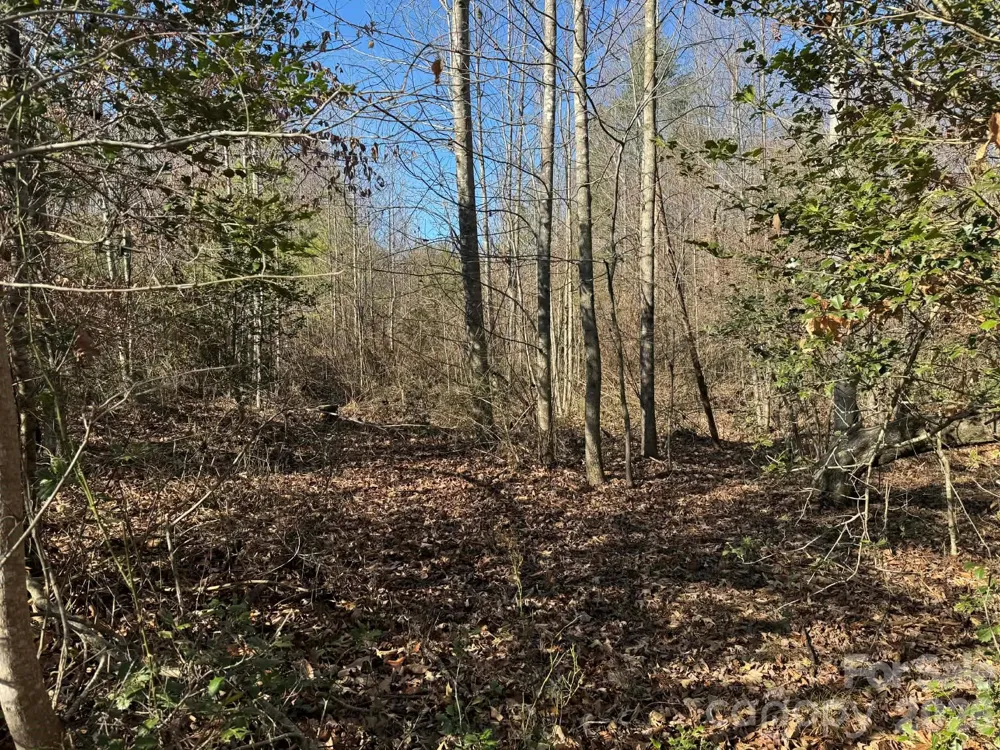 001 Rock Creek Church Road North Wilkesboro, NC 28659