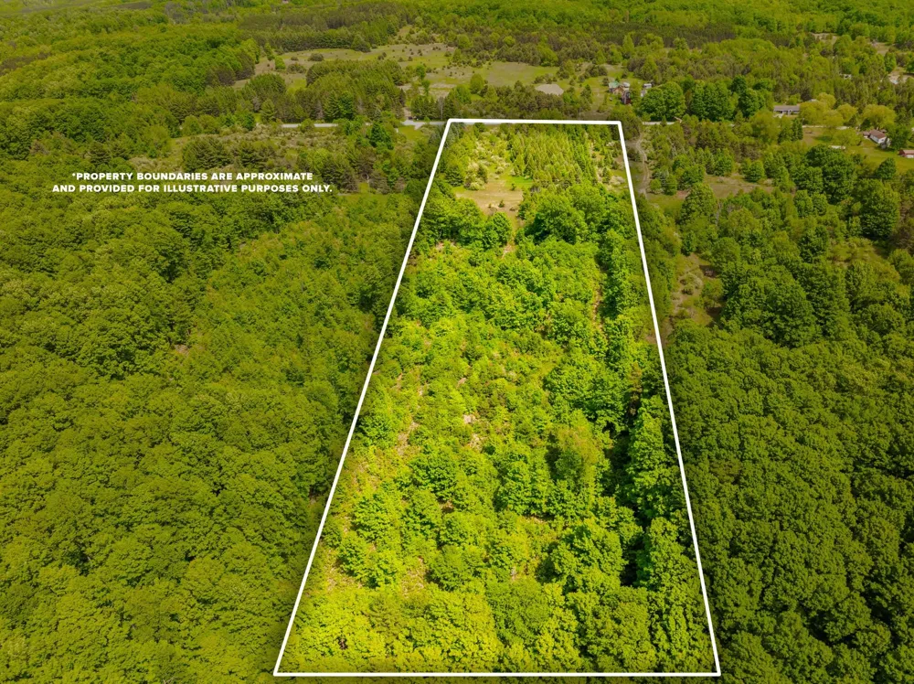 Traverse Road Colfax Township, MI 49683