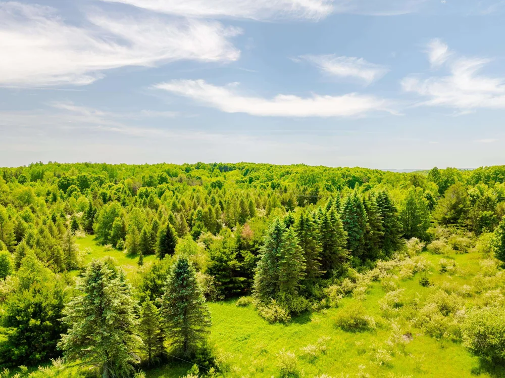 Traverse Road Colfax Township, MI 49683