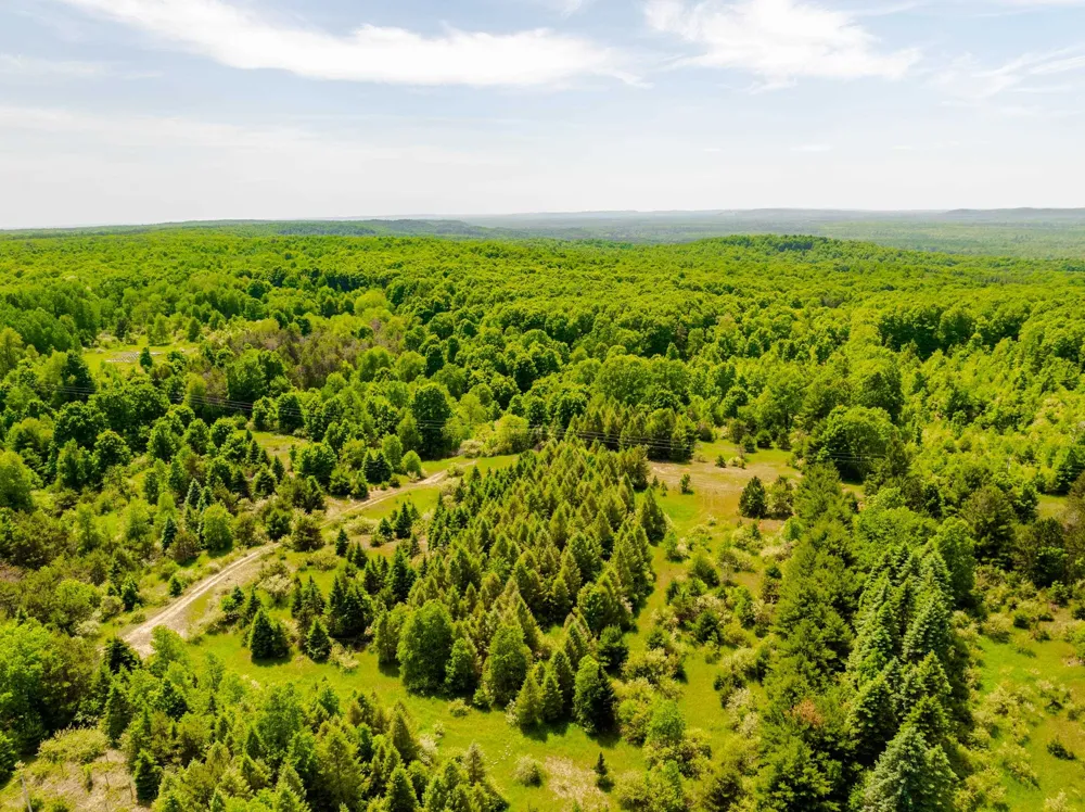 Traverse Road Colfax Township, MI 49683